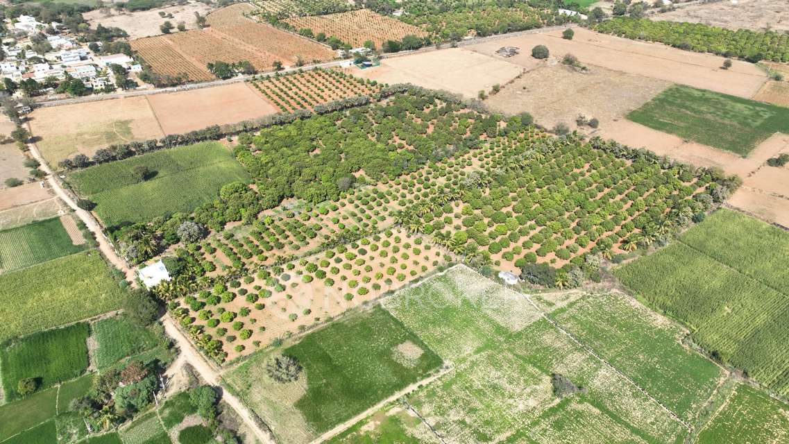 Plot For Sale  In Yelahanka