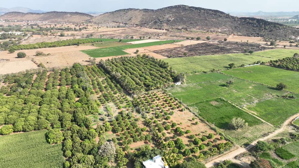 Plot For Sale  In Yelahanka