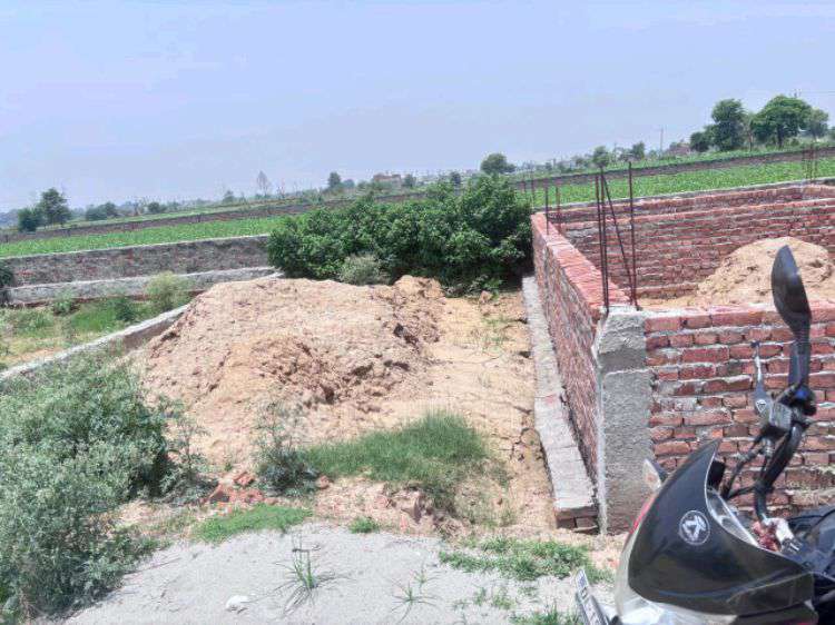Plot For Sale  In Badalpur Gautam Buddha Nagar
