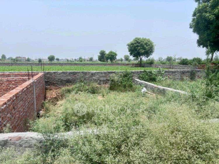 Plot For Sale  In Badalpur Gautam Buddha Nagar