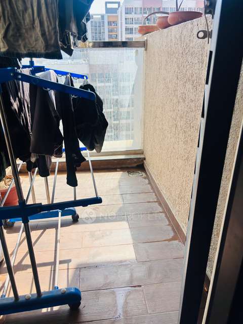 2 BHK Flat In Kohinoor Coral for Rent  In Hinjewadi