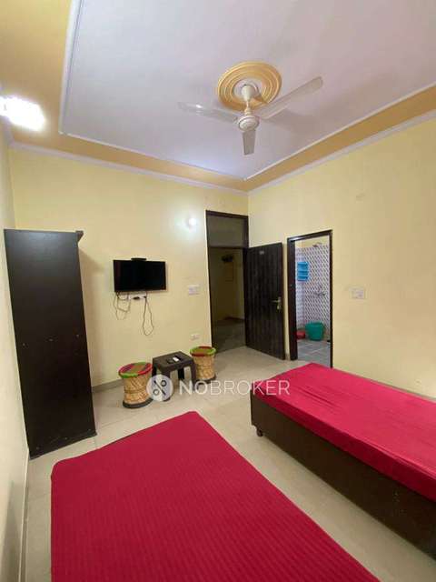 PG for Girls in Sector 46