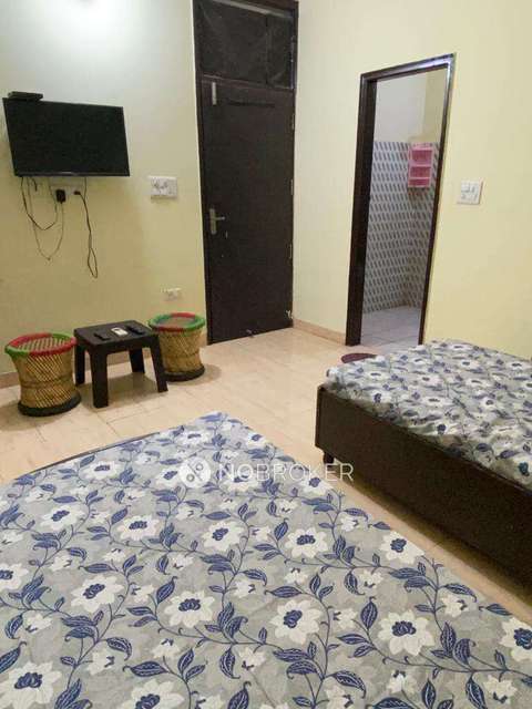 PG for Girls in Sector 46