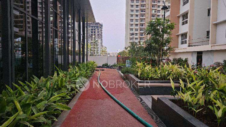 3 BHK Flat In Raheja Sterling for Rent  In Nibm