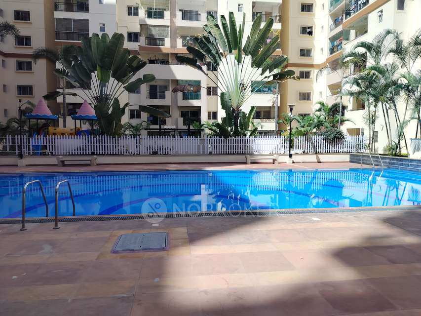 3 BHK Flat In Salarpuria Symphony for Rent  In Basapura