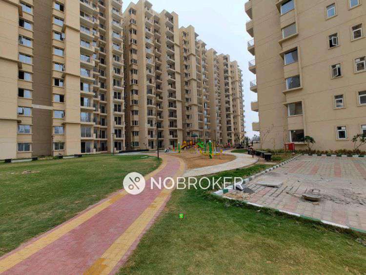 2 BHK Flat In Signature Global Orchard Avenue 2 for Rent  In  Sector 93