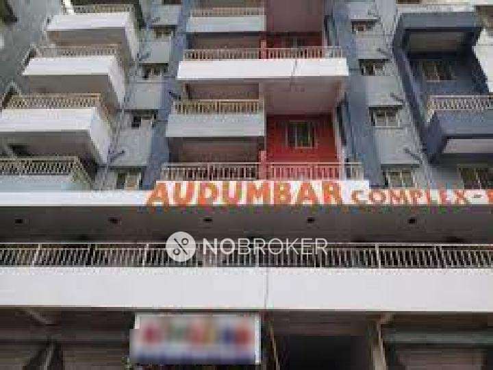 1 BHK Flat In Audumber Complex for Rent  In Dhayari