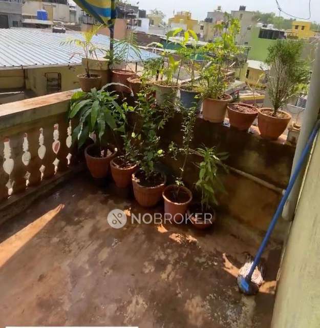 3 BHK for Rent  In Yerawada