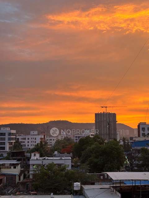 2 BHK Flat In Willows Twin Tower for Rent  In Hinjawadi