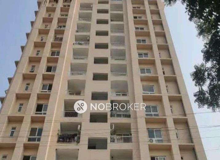 2 BHK Flat In Royce Sentosa Parc For Sale  In Raj Nagar Extension