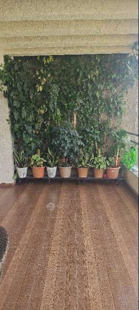 3 BHK Flat In Elite Astrum for Rent  In Baner