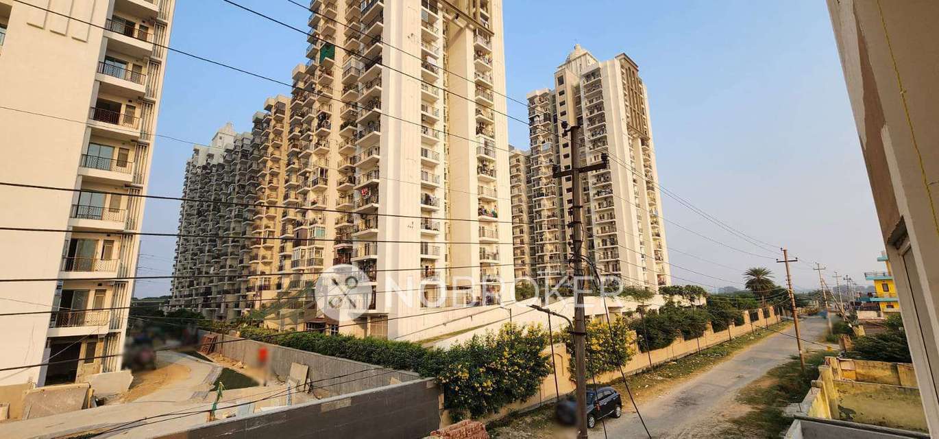 PG for Boys in Sector 144