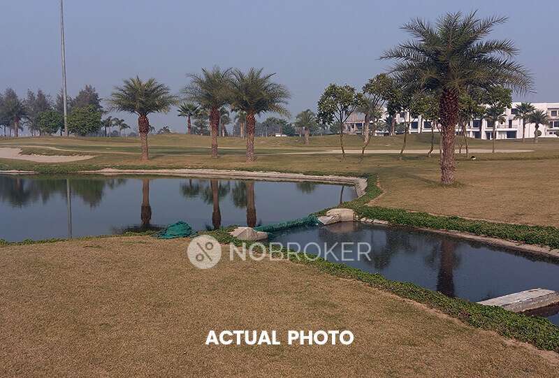 2 BHK Flat In Supertech Golf Country for Rent  In Yamuna Expressway