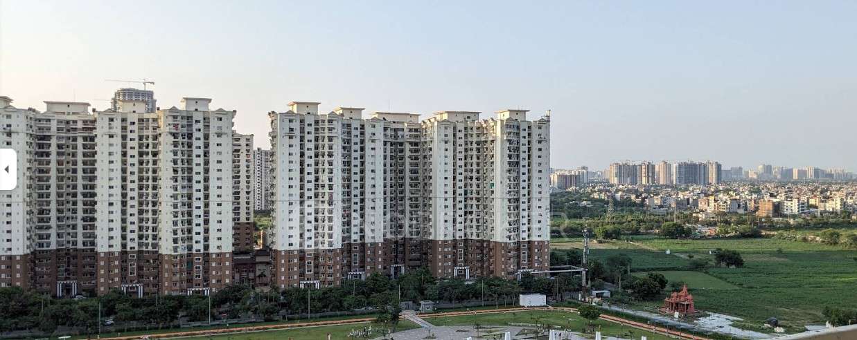 3 BHK Flat In Apartment for Rent  In Sector 78