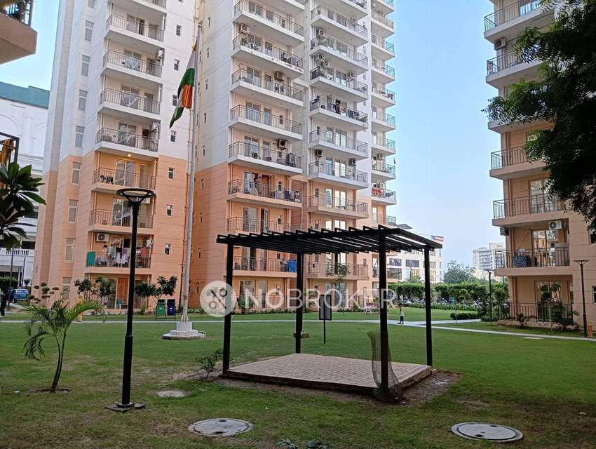 3 BHK Flat In Rof Amaltas For Sale  In Sector 92