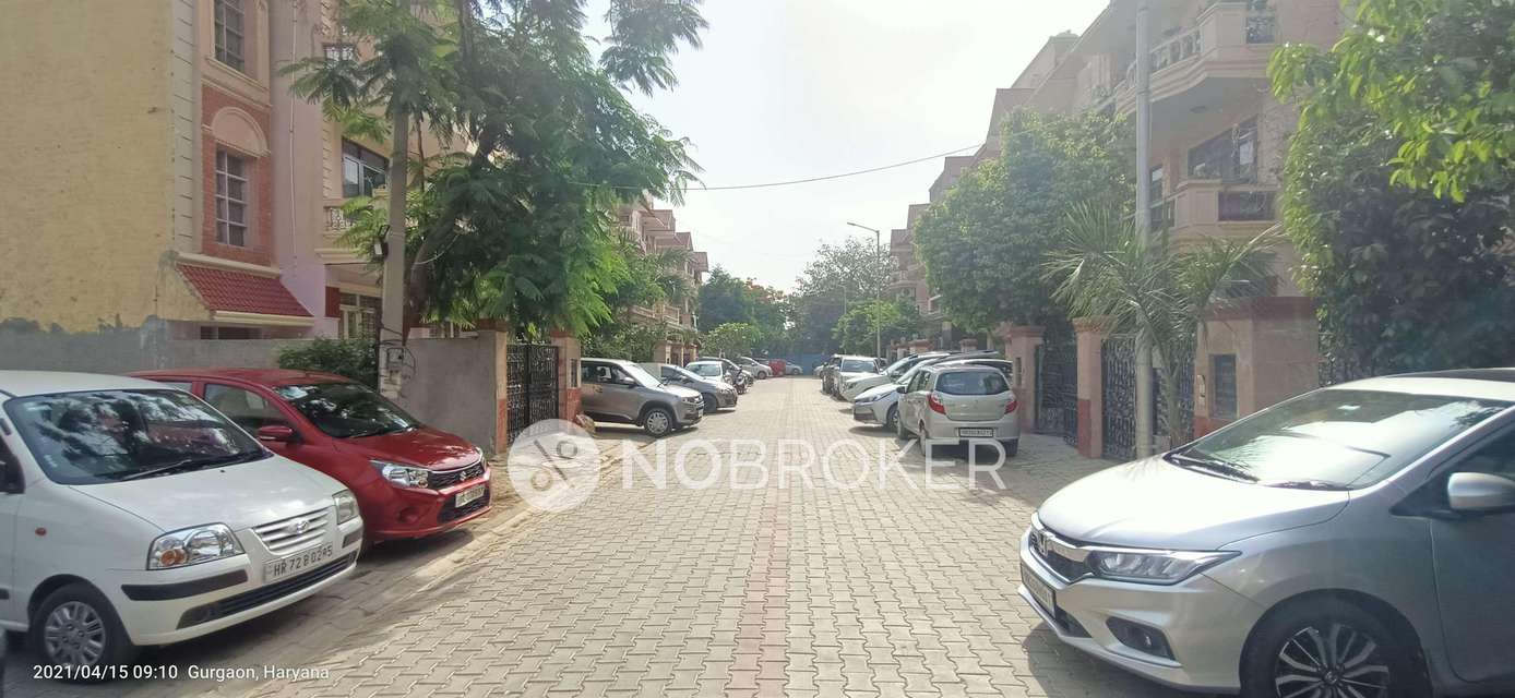 3 BHK Flat In Princeton Floors For Sale  In Sector-51