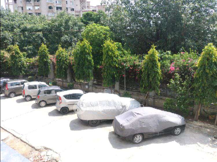 1 BHK Flat In Cghs Chandanwari Apartments for Rent  In Sector 10 Dwarka