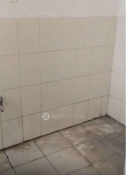 3 BHK Flat In Cello Mihir Leon Orbit for Rent  In Rahatani