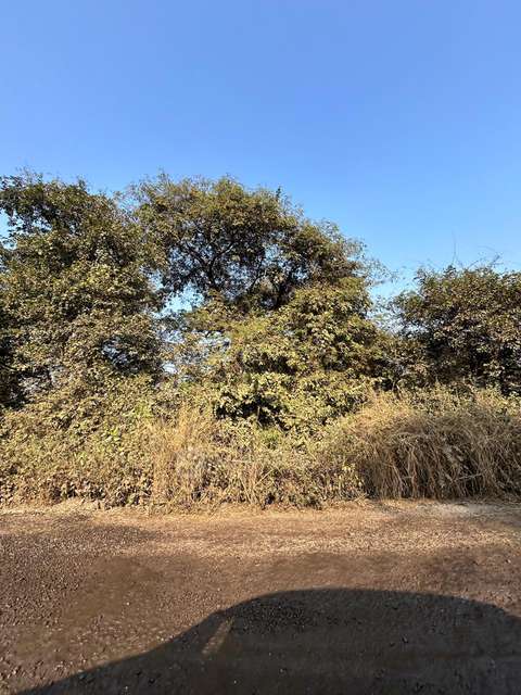 Plot For Sale  In Panvel