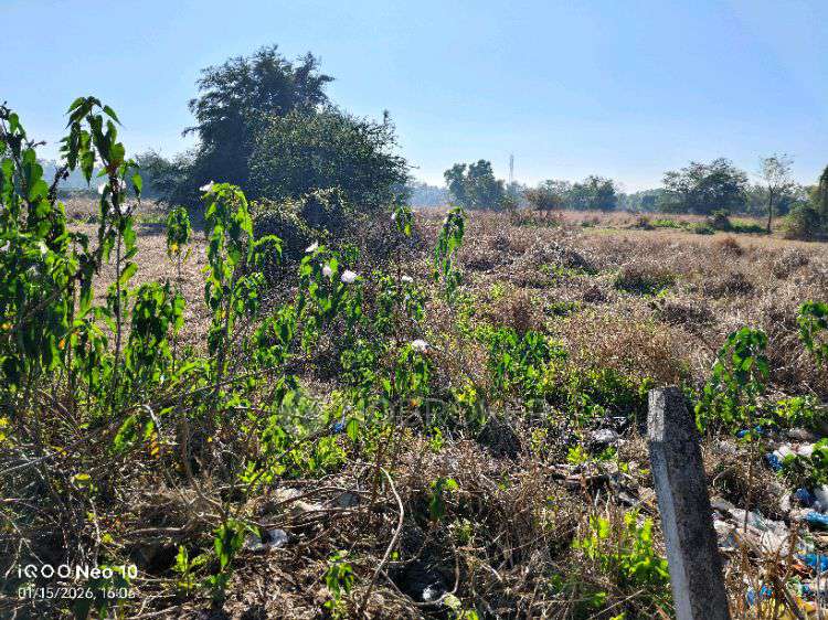 Plot For Sale  In Koproli