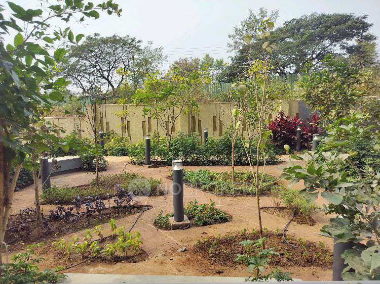 3 BHK Flat In Godrej Parkridge for Rent  In Kharadi