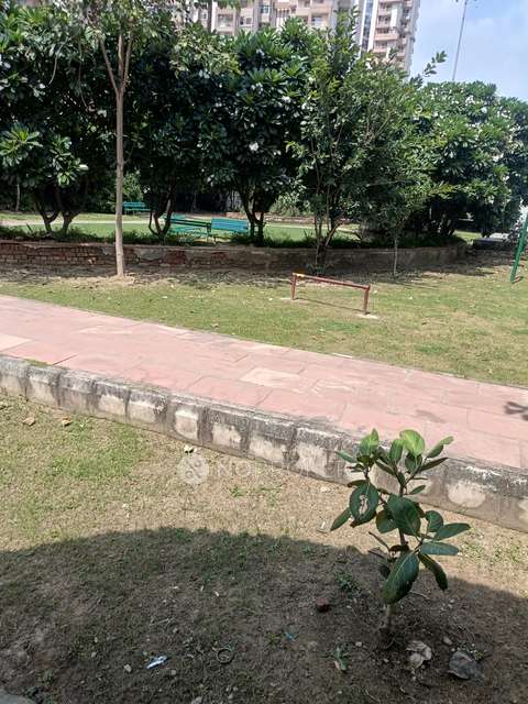 2 BHK Flat In Sai Homes for Rent  In Sector 89