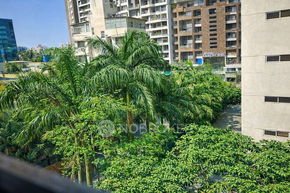 2 BHK Flat In Vj Palladio Balewadi Central, Balewadi  for Rent  In Balewadi 