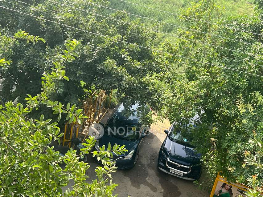 Single Room for Male In 3 BHK  In Sector 45