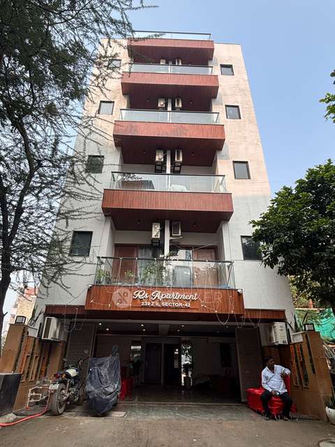 1 RK Flat In Rs Apartment 239 Z Ii for Rent  In Sector 42