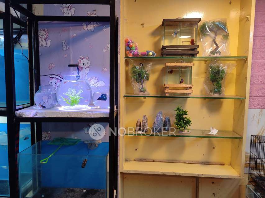 Shop in Kalkere, Bangalore for Rent 