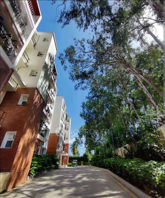 3 BHK Flat In Prestige Kew Gardens  for Rent  In Bellandur