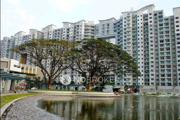 2 BHK Flat In Brigade Gateway Residences  for Rent  In Rajajinagar