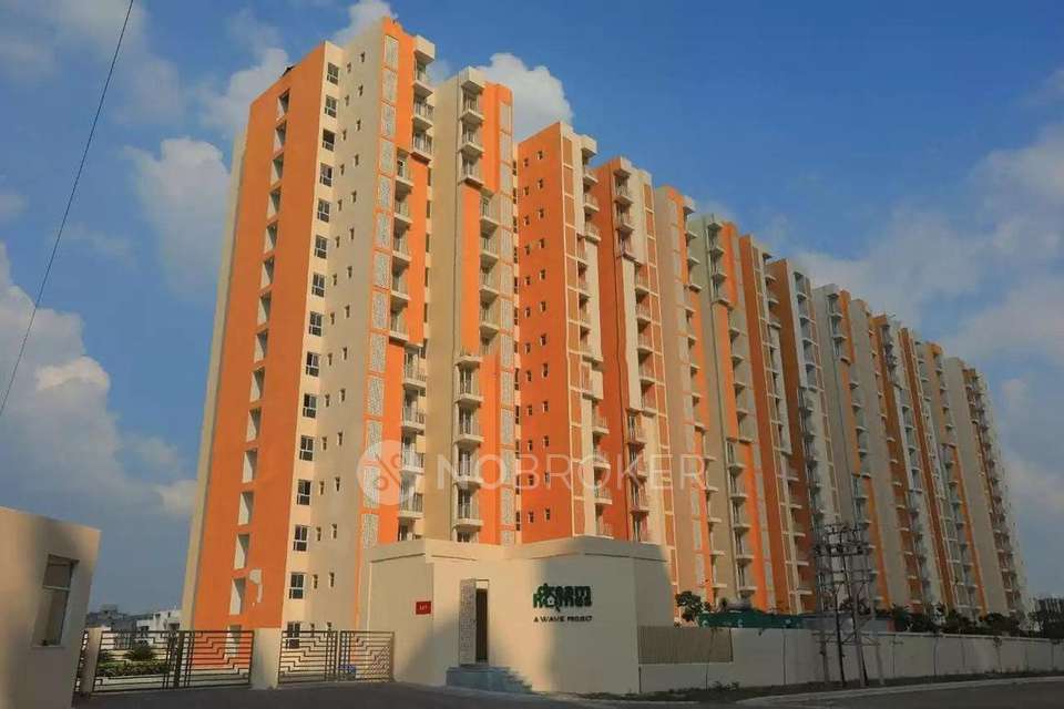 2 BHK Flat In Dream Homes, Wave City for Rent  In  Wave City, 