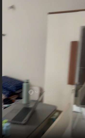 1 BHK Flat In Paranjape Trident Towers for Rent  In Hinjawadi