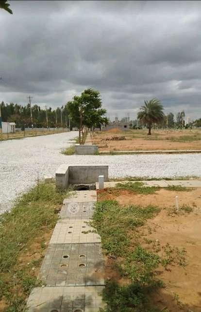 Plot For Sale  In Chamundi Greens In Chamundi Greens