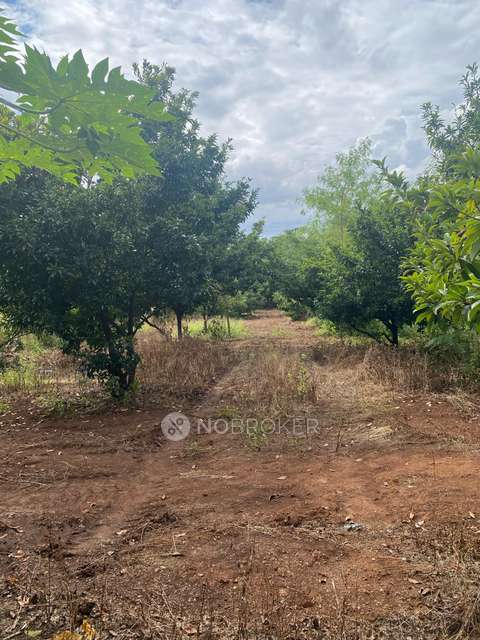 Plot For Sale  In La Manor In Palghar - Manor Road