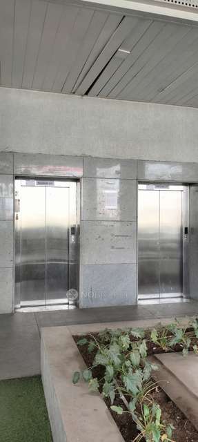 2 BHK Flat In Rohan Ananta  for Rent  In Tathawade