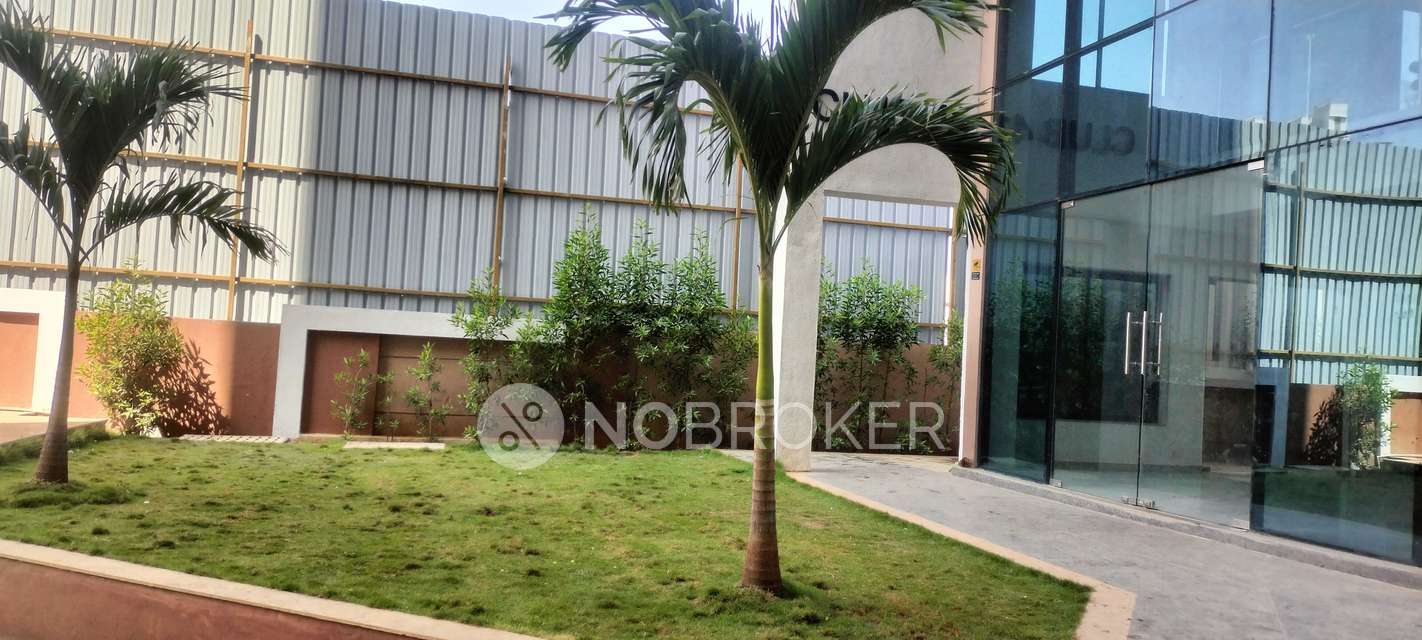 2 BHK Flat In Krisala 41cosmo for Rent  In Tathawade