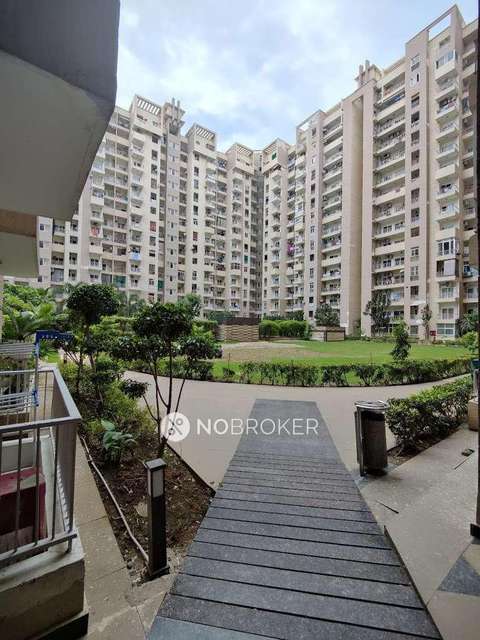 2 BHK Flat In Ajnara Daffodil for Rent  In Sector 137