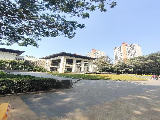 1 BHK Flat In Lodha Belmondo for Rent  In Gahunje