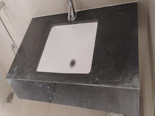 1 BHK Flat In Lodha Belmondo for Rent  In Gahunje