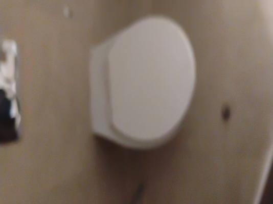 1 BHK Flat In Lodha Belmondo for Rent  In Gahunje