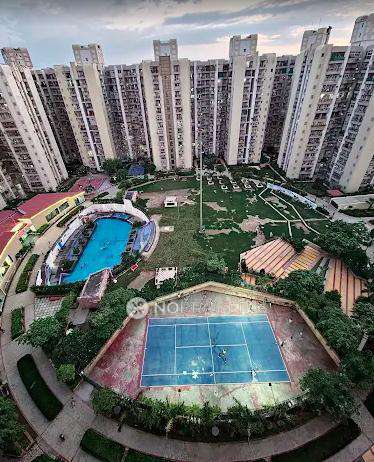 Single Room for Female In 2 BHK  In Prateek Laurel In Sector 120