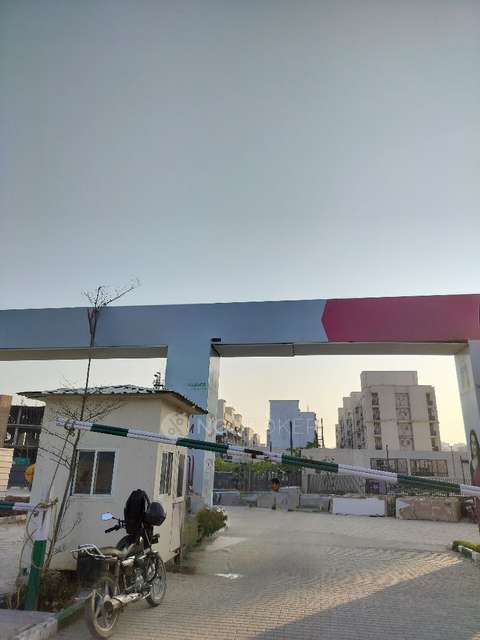 3 BHK Flat In Signature Global City 37d For Sale  In Sector 37d