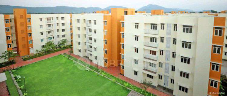 PG for Anyone in Mahindra Happinest Palghar