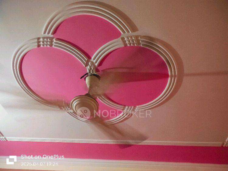 1 BHK Flat In Standalone Building  For Sale  In New Ashok Nagar