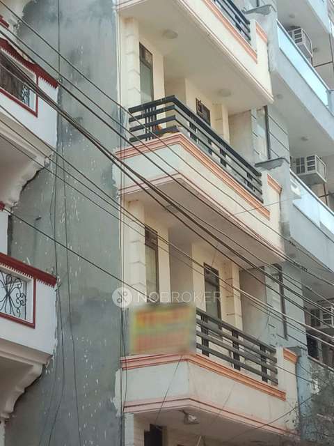 PG for Anyone in Sector 25