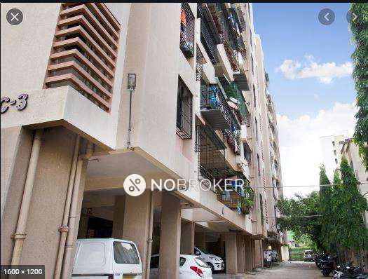 3 BHK Flat In Kala Vishva for Rent  In Kalpvishwa