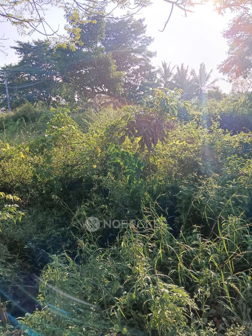 Plot For Sale  In Upkar Springfields  In Upkar Spring Field