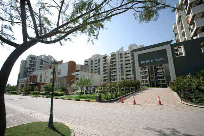 3 BHK Flat In Sobha Iris, Bellandur for Rent  In Bellandur